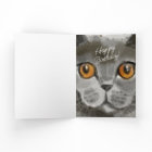 Anniversaire de la dame du chat | OMG ! C'est ton