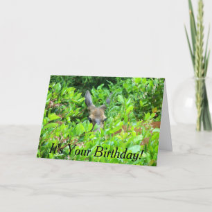 Carte Anniversaire de la faune de Cerf Timide