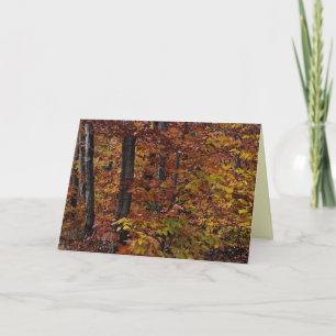 Carte Anniversaire de la forêt de hêtres
