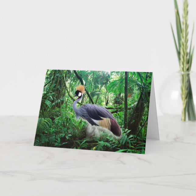 Carte Anniversaire de la grue couronnée (Devant)