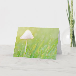 Carte Anniversaire de la nature des champignons