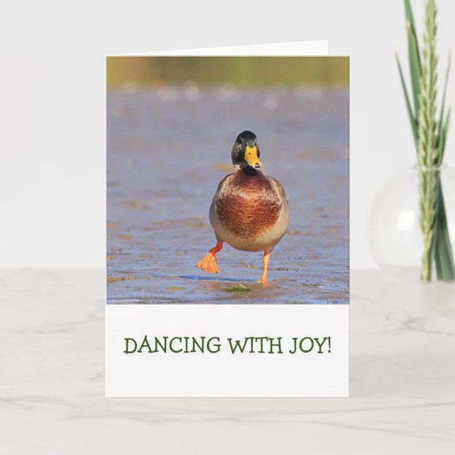 Carte Anniversaire de la nature du Canard Mallard (Devant)