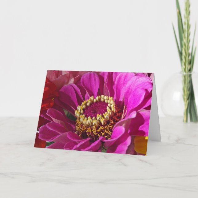 Carte Anniversaire de la nièce avec fleur rose Zinnia (Devant)