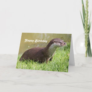 Carte Anniversaire de la photo d'Otter