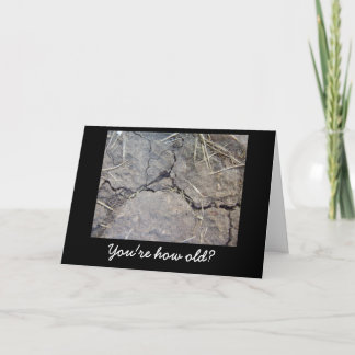 CARTE ANNIVERSAIRE DE LA VIEILLE SOEUR