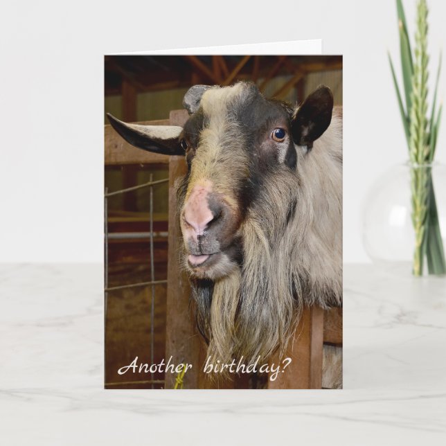 Carte Anniversaire de la Vielle Chèvre Humour (Devant)