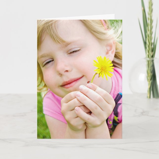 Carte Anniversaire de Ladybug et Dandelion (Devant)