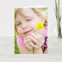 Anniversaire de Ladybug et Dandelion