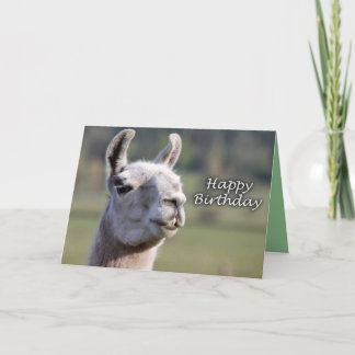 Carte Anniversaire de lama du lama | de joyeux