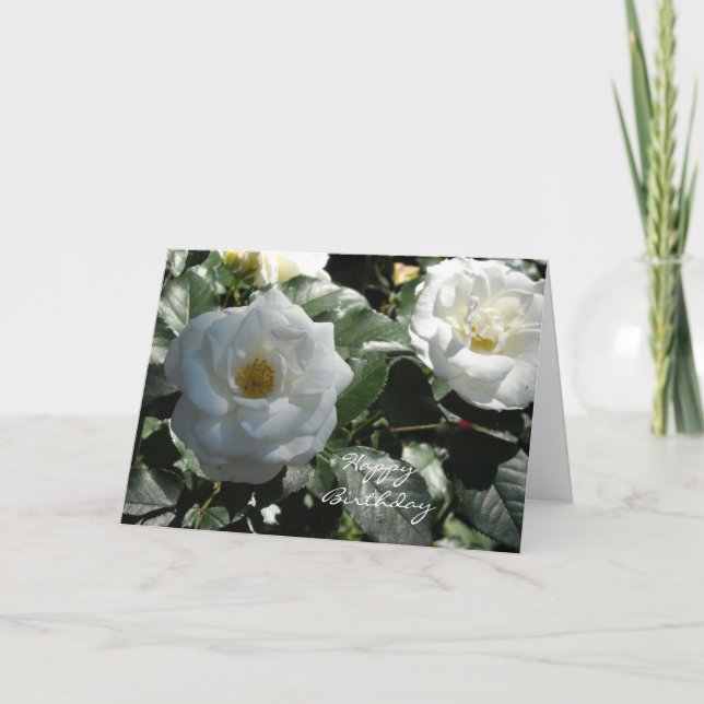 Carte Anniversaire de l'élégante Rose blanche (Devant)