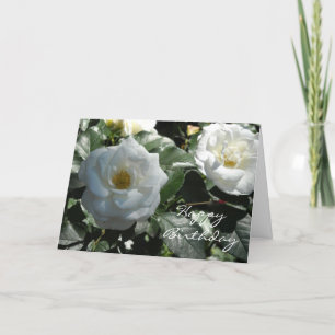 Carte Anniversaire de l'élégante Rose blanche