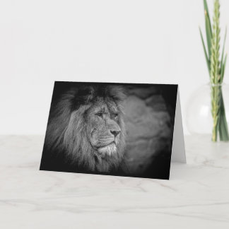 Carte Anniversaire de Leo