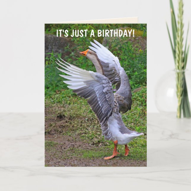 Carte Anniversaire de l'oie sotte (Devant)
