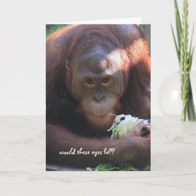 Carte Anniversaire de l'Orangoutan, sur la colline (Devant)