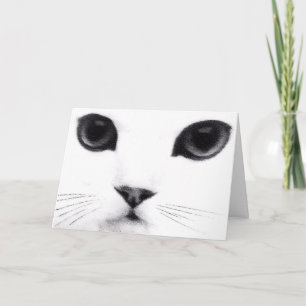 Carte Anniversaire de Meow