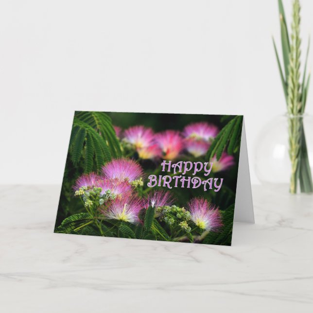 Carte Anniversaire de mimosa (Devant)