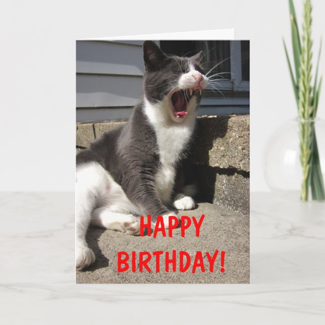 Carte Anniversaire de Morty (Devant)