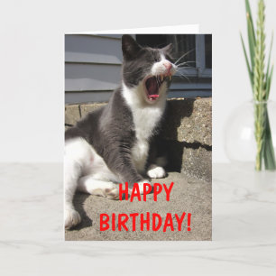Carte Anniversaire de Morty