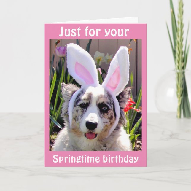 CARTE ***ANNIVERSAIRE DE PÂQUES*** J'AI PRIS MES OREILLE (Devant)