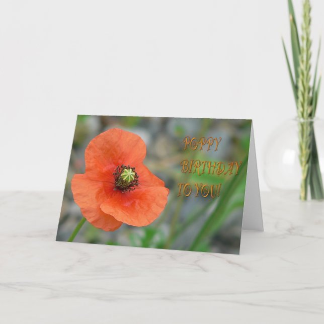 CARTE ANNIVERSAIRE DE PAVOT (Devant)
