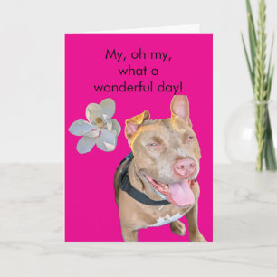 Carte Anniversaire de Pit Bull souriant