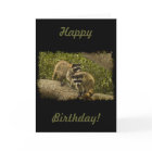 Anniversaire de ratons laveurs