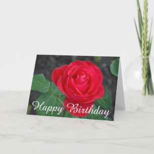 Carte Anniversaire de rose rouge