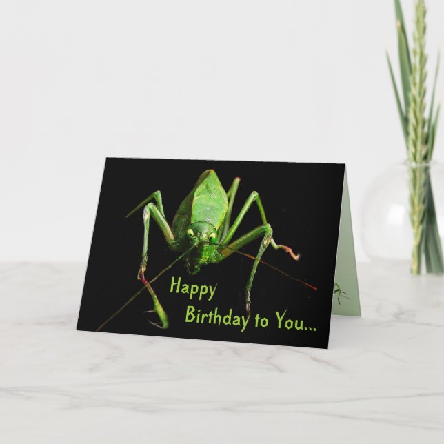 Carte Anniversaire de sauterelle (Devant)