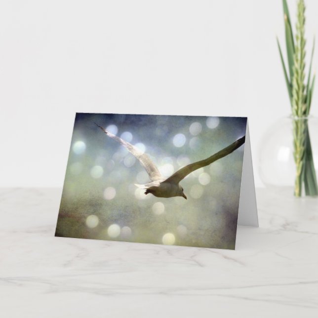Carte Anniversaire de Seagull (Devant)