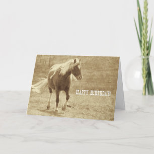 Carte Anniversaire de Sepia Pinto Pony