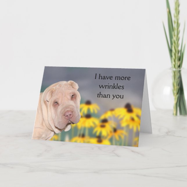 Carte Anniversaire de Shar Pei (Devant)