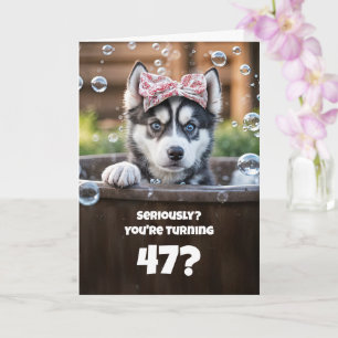 Carte Anniversaire des 47 ans : Chien Husky mignon et dr