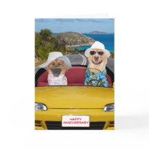 Anniversaire des chiens mignons