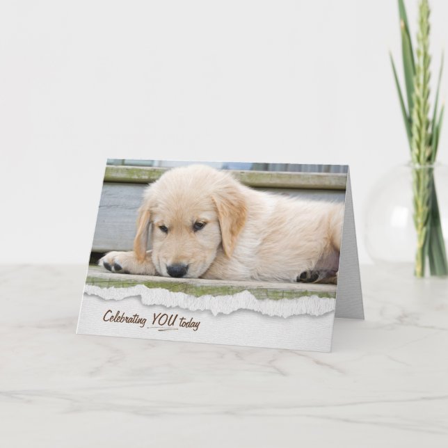 Carte Anniversaire des chiots Golden Retriever (Devant)