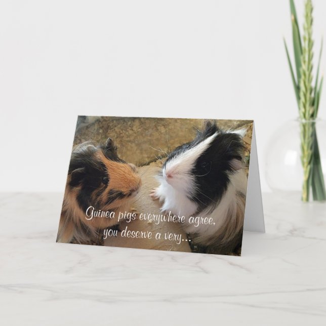 Carte Anniversaire des Cochons de Guinée (Devant)