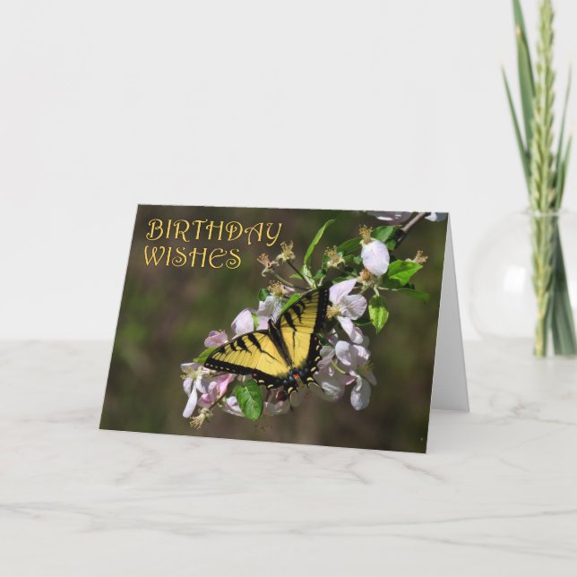 Carte Anniversaire des papillons 1 (Devant)