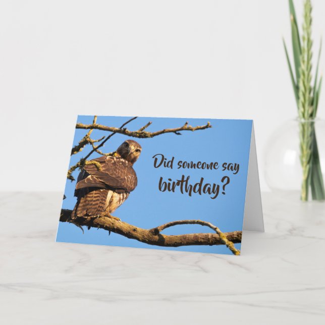 Carte Anniversaire des photos de la nature de Funny Hawk (Devant)