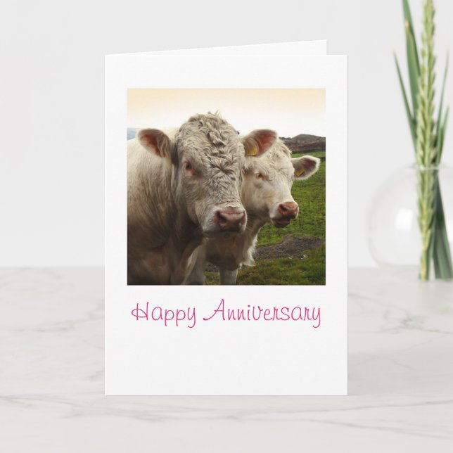 Carte Anniversaire des vaches (Devant)