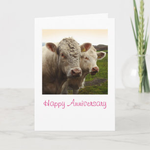Carte Anniversaire des vaches
