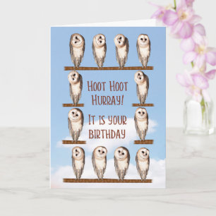 Carte Anniversaire drôle, Chouettes curieuses