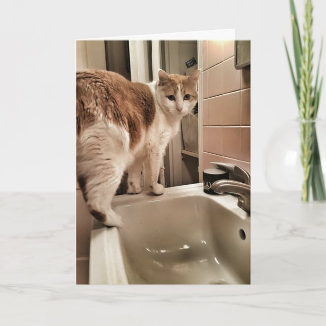 Carte Anniversaire drôle d'amoureux des chats (Devant)