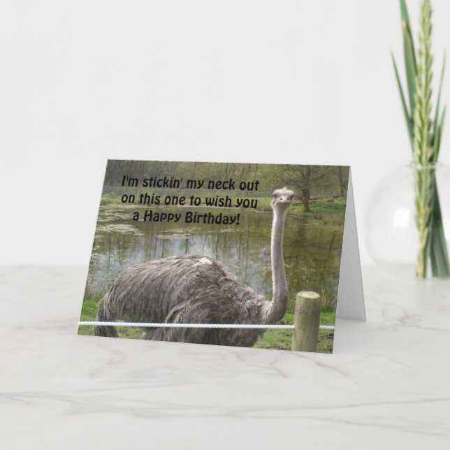 Carte Anniversaire drôle d'autruche (Devant)