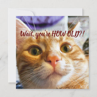 Carte Anniversaire drôle de chat