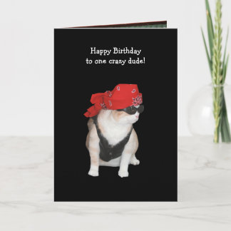 Carte Anniversaire drôle de chat de motards de conservat