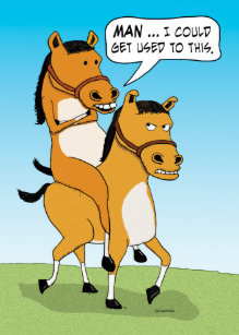Cartes De Vœux Cheval Humoristique Zazzle Ca Cartes De Vœux Cheval Humoristique Zazzle Ca