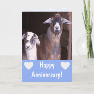 Carte Anniversaire drôle de chèvre