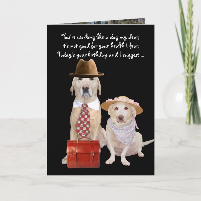 Carte Anniversaire drôle de chien/laboratoire pour mari (Devant)