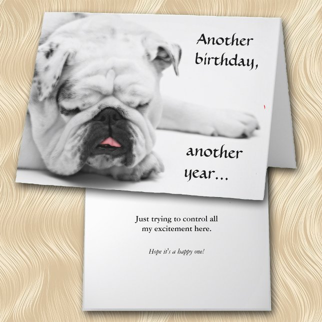 Carte Anniversaire drôle de Chien-taureau blanc (Créateur téléchargé)