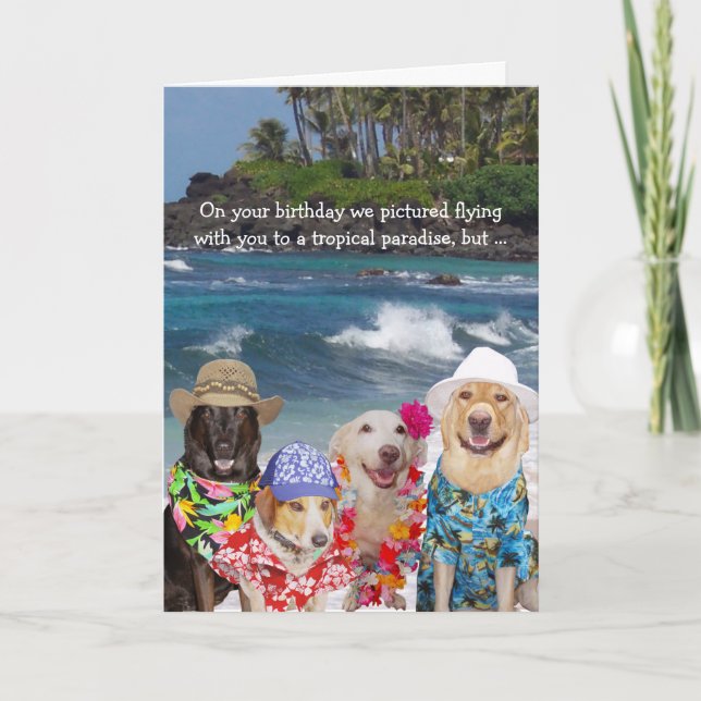 Carte Anniversaire drôle de chiens pour n'importe qui (Devant)