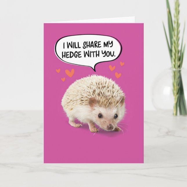Carte Anniversaire drôle de Hérisson mignon (Devant)